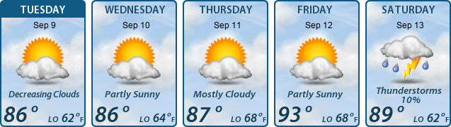 5-Day Forecast