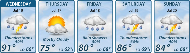 5-Day Forecast
