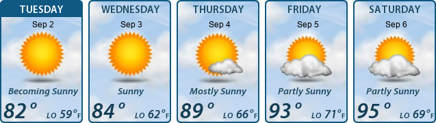 5-Day Forecast